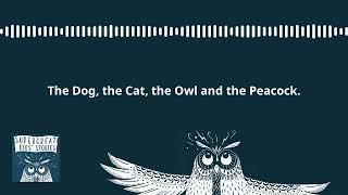 Super Great Kids' Stories - World Wide Kids Stories - The Dog, the Cat, the Owl and the Peacock.