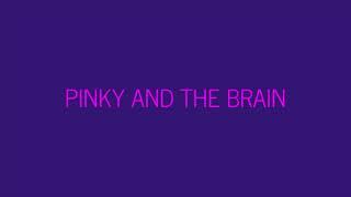 Pinky And The Brain