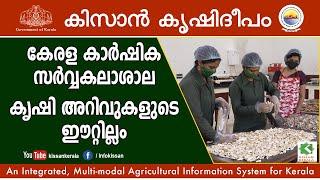 Kerala Agricultural University - a cradle of agricultural knowledge