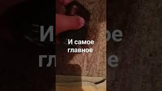 #находки на улице