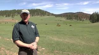 Today's Forest: Introduction to Forest Stewardship