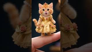apt cat 95 #apt #aptcat #shorts