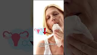 Ever Wondered Why Hot Flashes Happen During Menopause? 