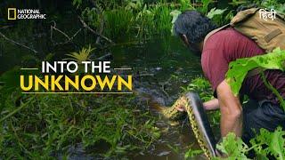 Into the Unknown | Primal Survivor | हिन्दी | National Geographic