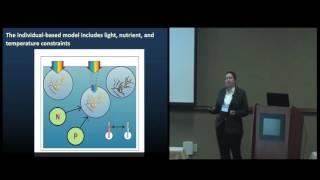 Modeling a Mobile Ecosystem: Eddies and Sargassum in the North Atlantic -- Maureen Brooks