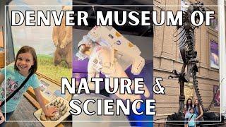 Denver Museum of Nature and Science Tour & Overview | Things to do with Kids in Denver Colorado