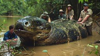 Rare Titanoboa Sightings You've Never Seen Before