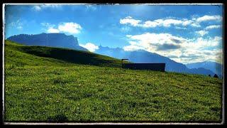 Alpine Meadow – 8 hours Silent Nature Video - quiet sound effect – background sound