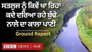 Punjab River Water: Industrial ਸ਼ਹਿਰ Ludhiana 'ਚ ਵਗ਼ਦਾ ਬੁੱਢਾ ਨਾਲਾ Sutlej ਲਈ ਕਿਵੇਂ ਕਹਿਰ ਬਣ ਰਿਹਾ