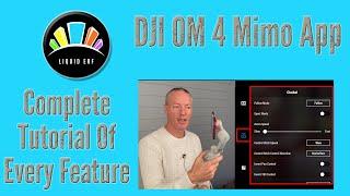 DJI Mimo App OM 4 Complete Tutorial with iphone 11 - All the Features Explained