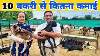 1 साल में 10 बकरी से कितनी कमाई | 10 bakri palan mein kitna kharcha aaega