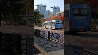 72번에 2대 운행중인 16년식 블루시티 하이브리드 버스