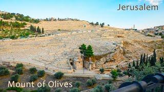 JERUSALEM: Mount of Olives, Gethsemane, Golden Gate, Lions Gate, Damascus Gate