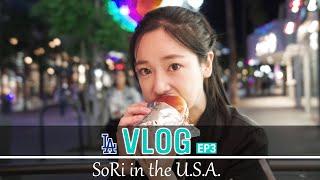 (EN/日) [Vlog] 소리 미국 출장기, EP3  [소리]