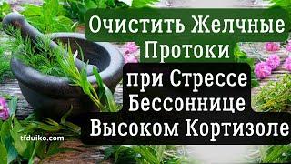 Очистить желчные протоки с помощью Тибетской Формулы