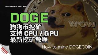 【DOGE】狗狗币挖矿教程，支持CPU、GPU最新挖矿教程，HOW TO MINE DOGECOIN 2024，WIN系统就能挖，马斯克最爱的狗狗币