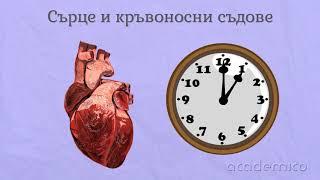 Сърце и кръвоносни съдове - Човекът и природата 3 клас | academico