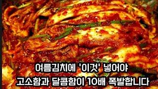 (   김치) 여름김치에 '이것' 넣어야 고소함과 달콤함이 10배 증가합니다(20년 한정식집 레시피대로 만들었더니 가을김치 맛이 납니다)