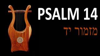 Psalm 14