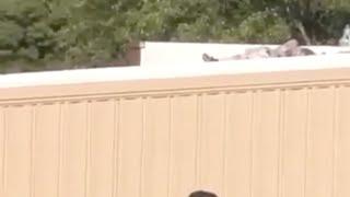 Video: Body of alleged shooter in Former President Trump's assassination attempt found on roof