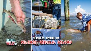 Bayou Wild [ep171] "RELEASE, REBUILD, RELOAD | Season 13 Full Episode | Fisheries Conservation