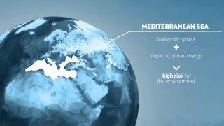 Mediterranean Marine Protected Areas as nature-based solutions to climate change