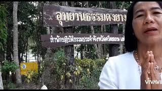 วัดอุทยานธรรมดงยาง สำนักปฏิบัติธรรม จ.ศรีสะเกษ