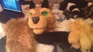 The Demon Ferret Partial