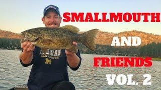 Smallies & Friends Vol. 2 (Long Lake, WA)