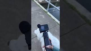 #beautiful #life #littlelife #dog #dogmom #love #shortvideo #viralvideo #shorts #short #video #fyp