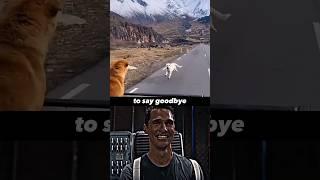 Dog Sad Moments (SAD GOODBYE) ️‍🩹