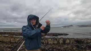 North East Rough Ground Cod Fishing | Newton | Northumberland