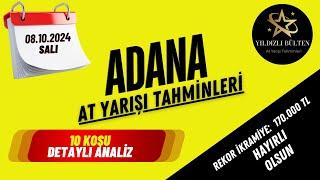 8 Ekim 2024 Salı Adana At Yarışı Tahminleri