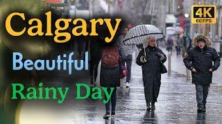 【4K】Calgary Canada Alberta | RAINY DAY |4k Walking Tour| #walkingtour   |#travel #calgary  #canada