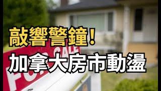 ​敲響警鐘！加拿大2025房市動盪 五大走勢預測；等不及！博勵治提交信函給總督，要求召回國會進行信任投票 ；5死200傷！駕車衝撞兇手曝光 申請難民庇護獲PR（《港灣播報》1221-1 CJCC）