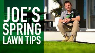 7 Spring Turf Tips from an Industry Expert | Joe’s Favourite Lawn Tips in Preparation for Spring