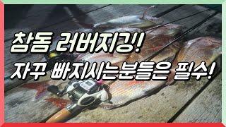 참돔 타이라바, 입질받고 자꾸 빠지시는분!? [석이피싱TV]