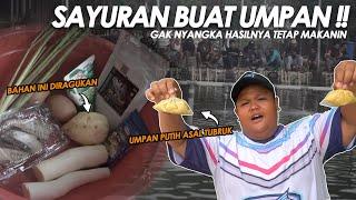 AWAS DI MUSUHIN TETANGGA GARA2 INI !! RACIKAN UMPAN DARI BAHAN YANG ADA DI DAPUR || Am#520