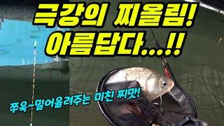 (SUB) BEAUTIFUL Float Moving!!! /carp fishing/float fishing/へらぶな herabuna