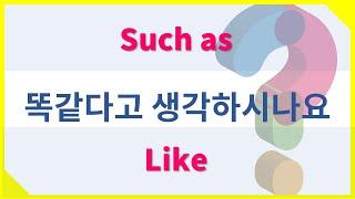 # ~같은(처럼) 뉘앙스 차이 - Such as, Like  #영어단어 #유의어