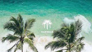 Palm Realm Podcast #1: Tropical Vibes  Nu Disco  Good Vibes Only