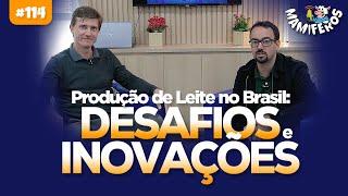 Produção de Leite no Brasil: Desafios e Inovações