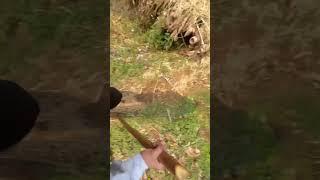 #shorts #shortvideo