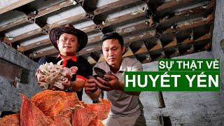 Sự Thật Về Huyết Yến Quý Hiếm Giá Khủng | Người Đặc Biệt