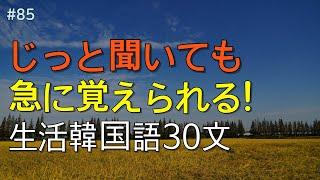 [ワクワク韓国語]  毎日聞いていると韓国語がすらすらと出てきます! 生活韓国語 30文 | 韓国語会話, 韓国語ピートリスニング, 韓国語聞き取り