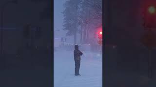 Snow is piling up in Northern California. video: Michael Steinberg/LSM