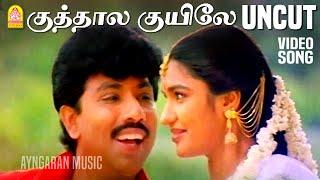 Kuthalakuyile - UnCut Video Song | குத்தாலக்குயிலே | Thirumathi Palanisamy | Sathyaraj |Ilaiyaraaja