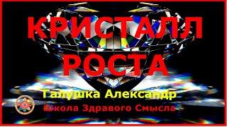 Кристалл роста. Галушка Александр