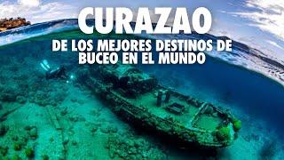 CURAZAO  | Asi se ve el Buceo en Curaçao