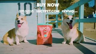 Lucy Pet Products Healthy pet food